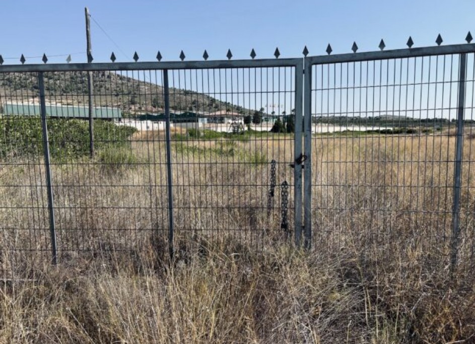 Revente - Parcelle Terrain -
La Romana