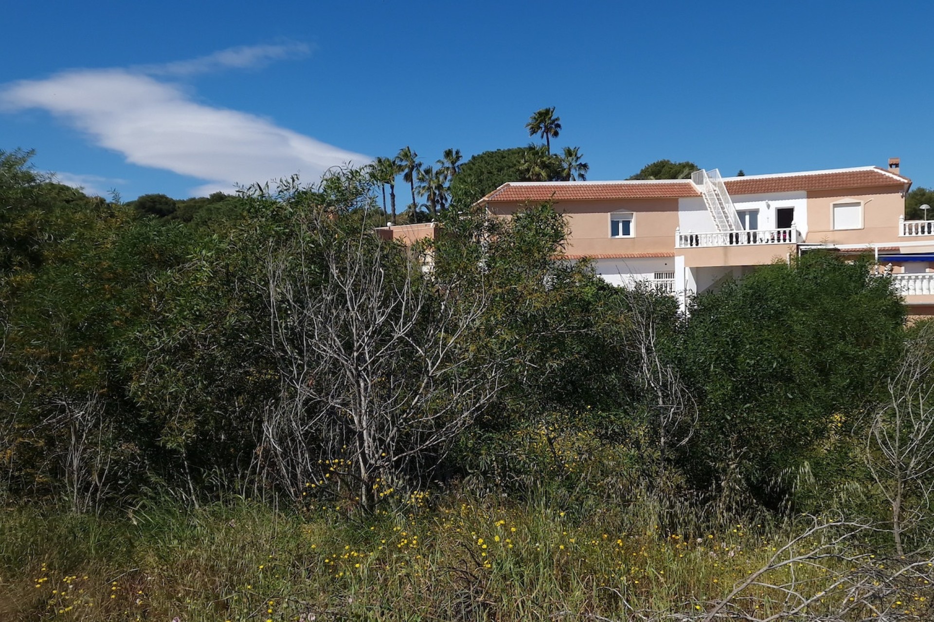 Revente - Parcelle Terrain -
Los Balcones - Los Altos del Edén - Los Balcones