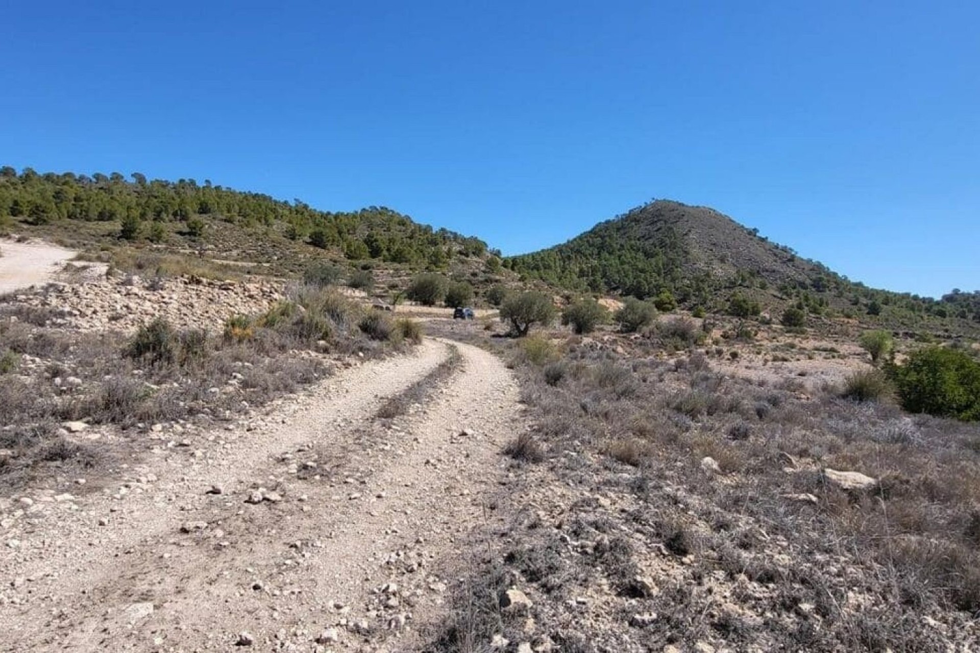 Revente - Parcelle Terrain -
Monóvar