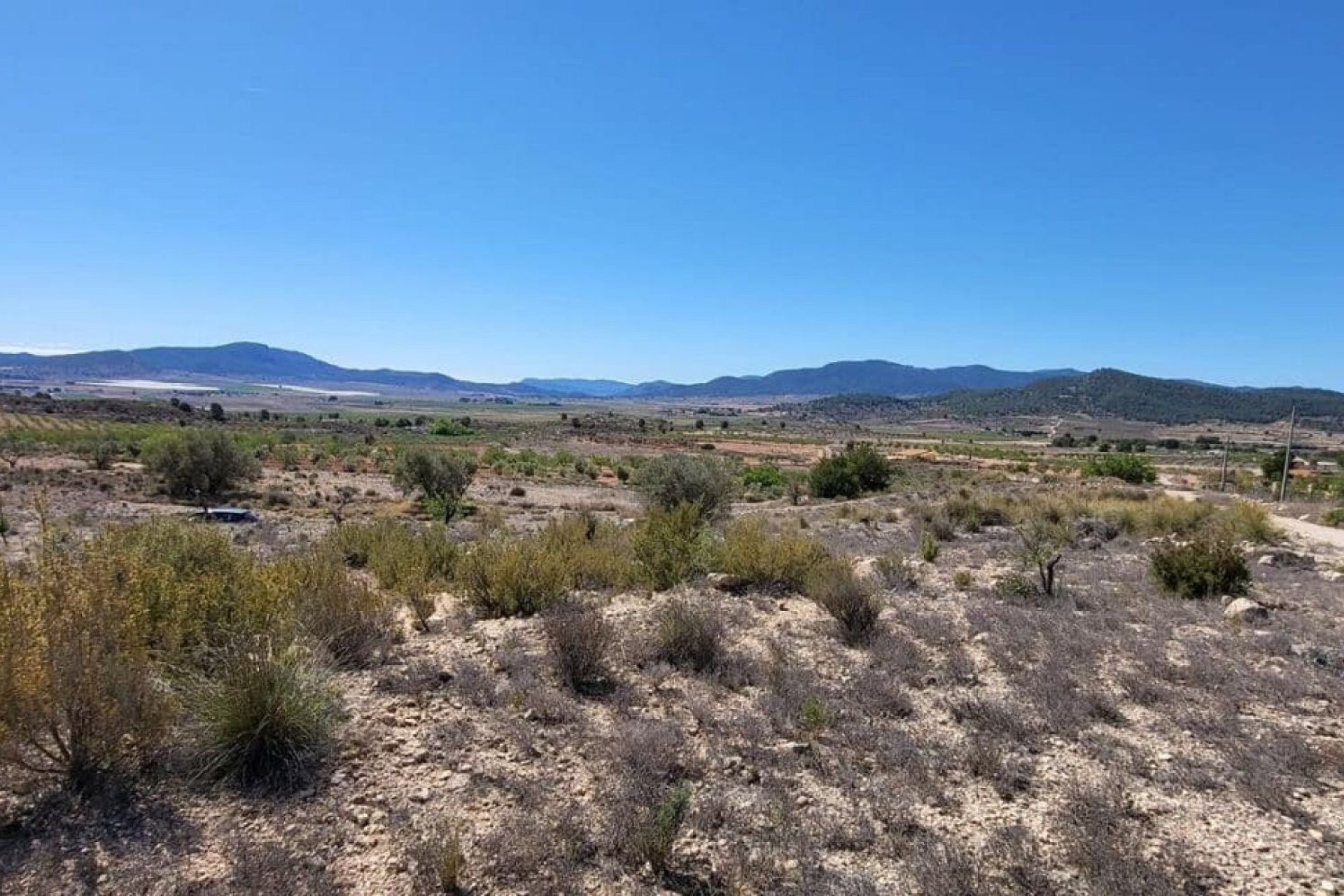 Revente - Parcelle Terrain -
Monóvar