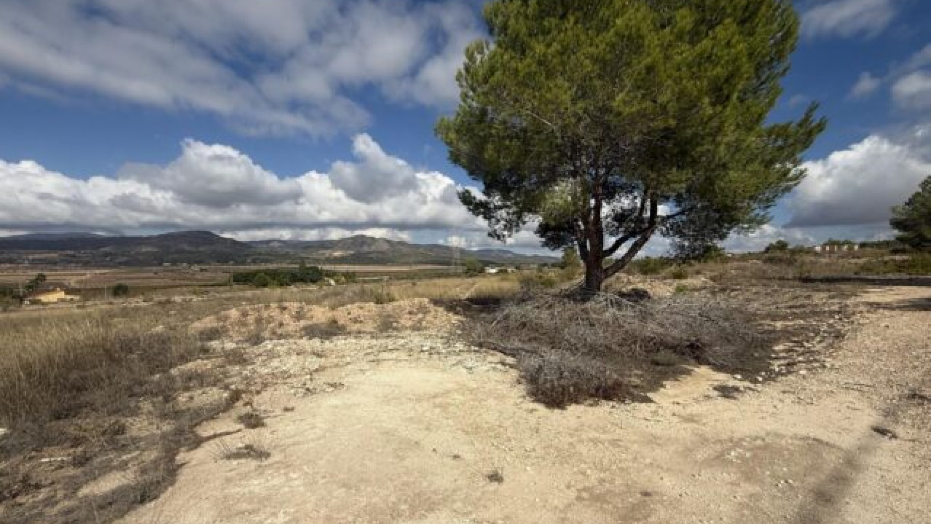 Revente - Parcelle Terrain -
Monóvar