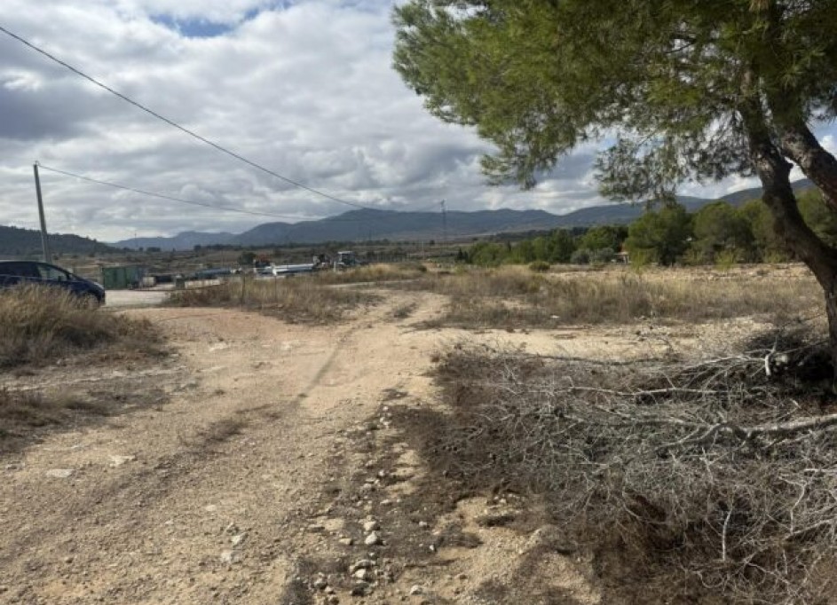 Revente - Parcelle Terrain -
Monóvar