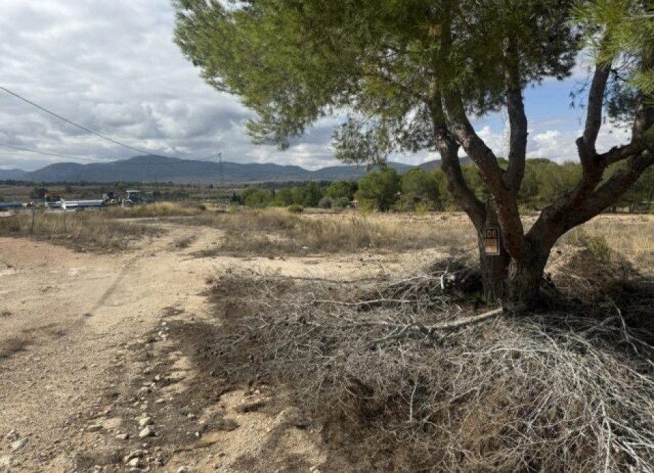 Revente - Parcelle Terrain -
Monóvar