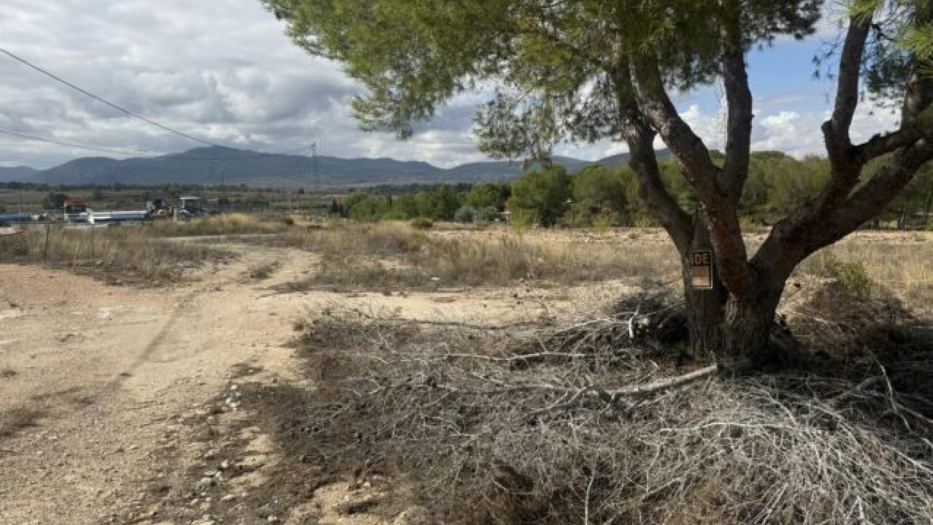 Revente - Parcelle Terrain -
Monóvar