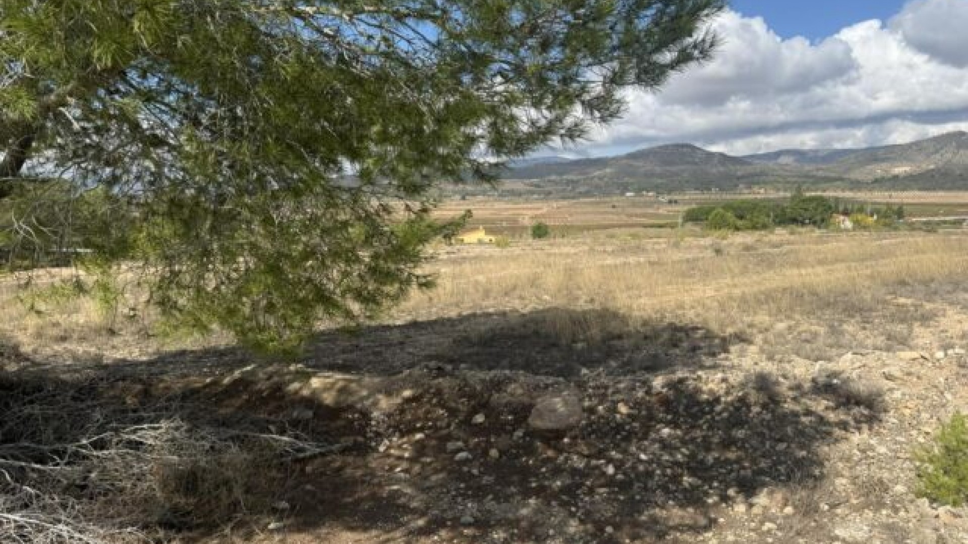 Revente - Parcelle Terrain -
Monóvar