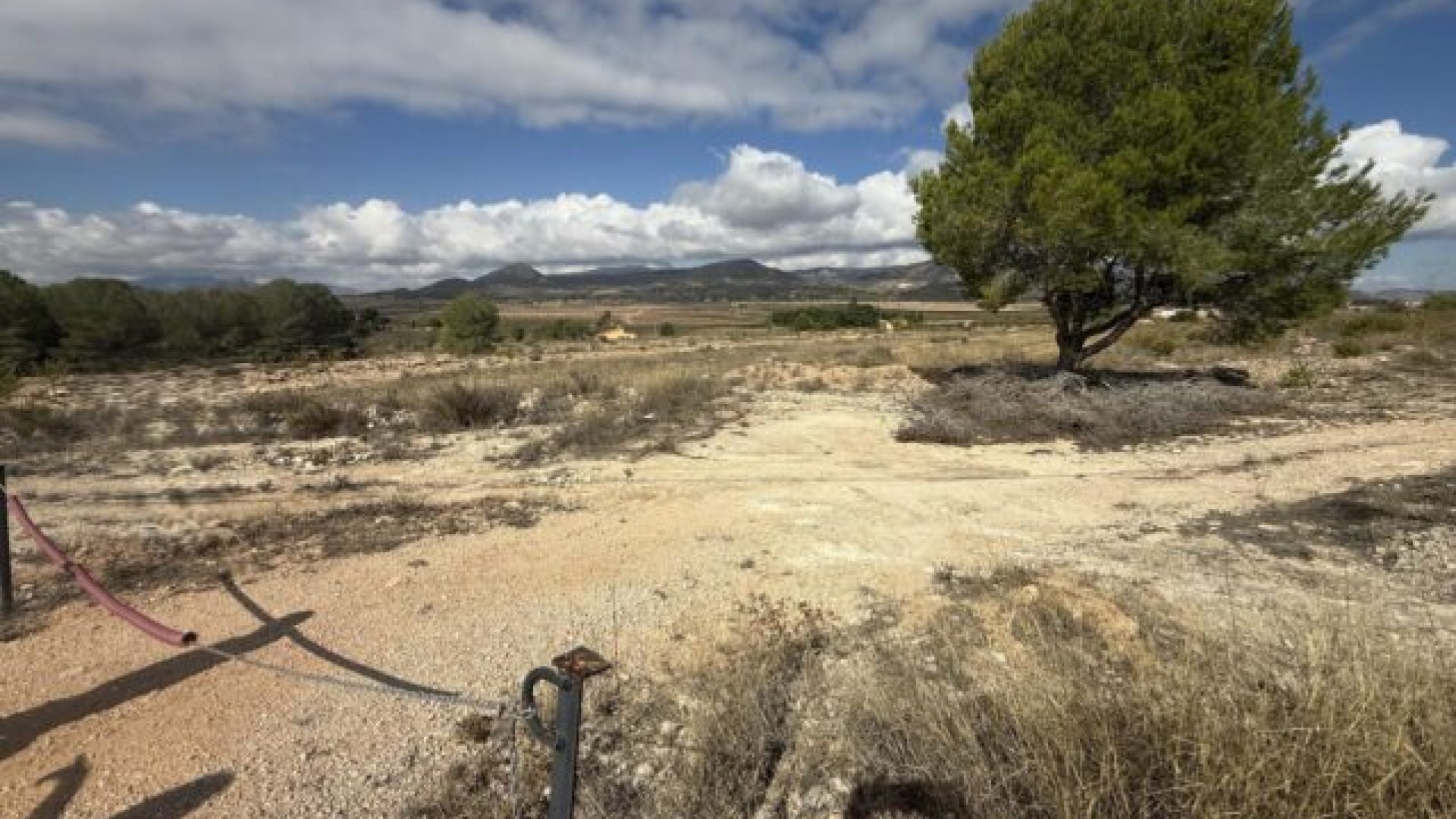 Revente - Parcelle Terrain -
Monóvar