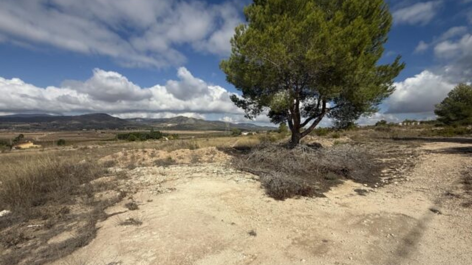 Revente - Parcelle Terrain -
Monóvar