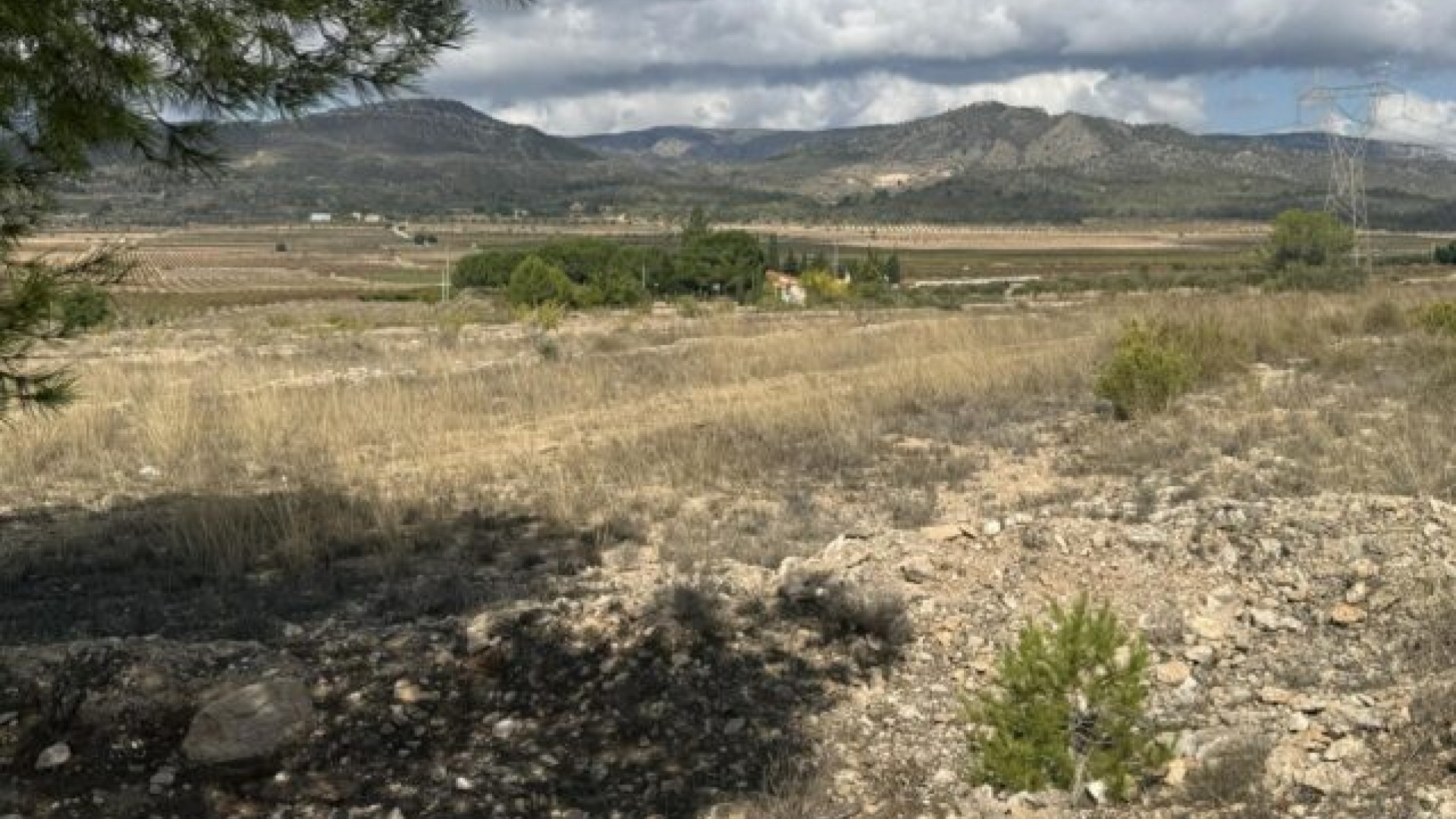 Revente - Parcelle Terrain -
Monóvar