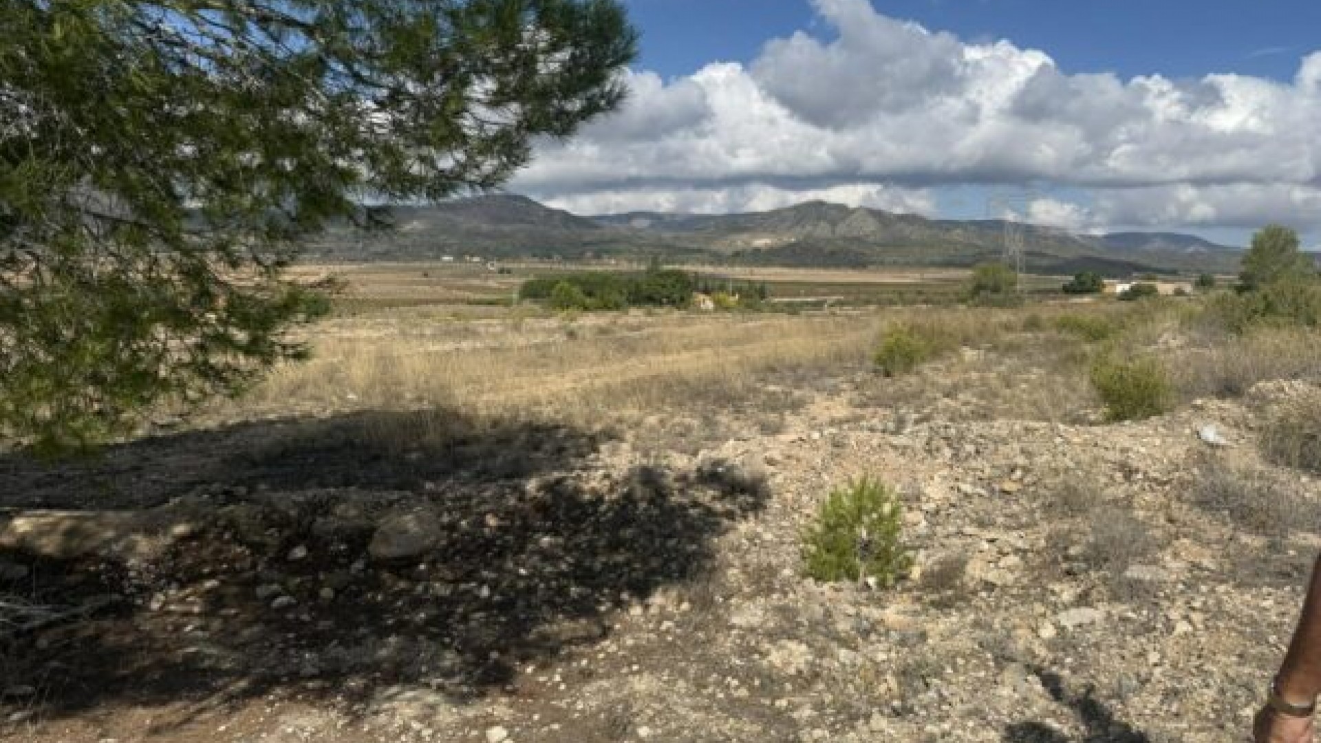 Revente - Parcelle Terrain -
Monóvar