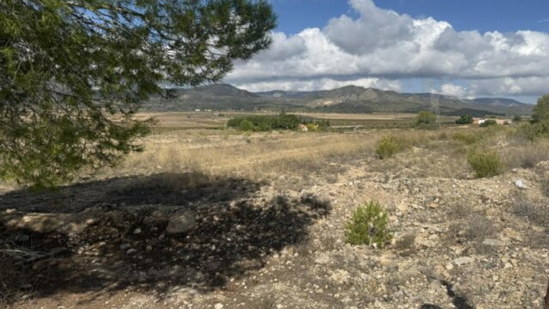 Revente - Parcelle Terrain -
Monóvar