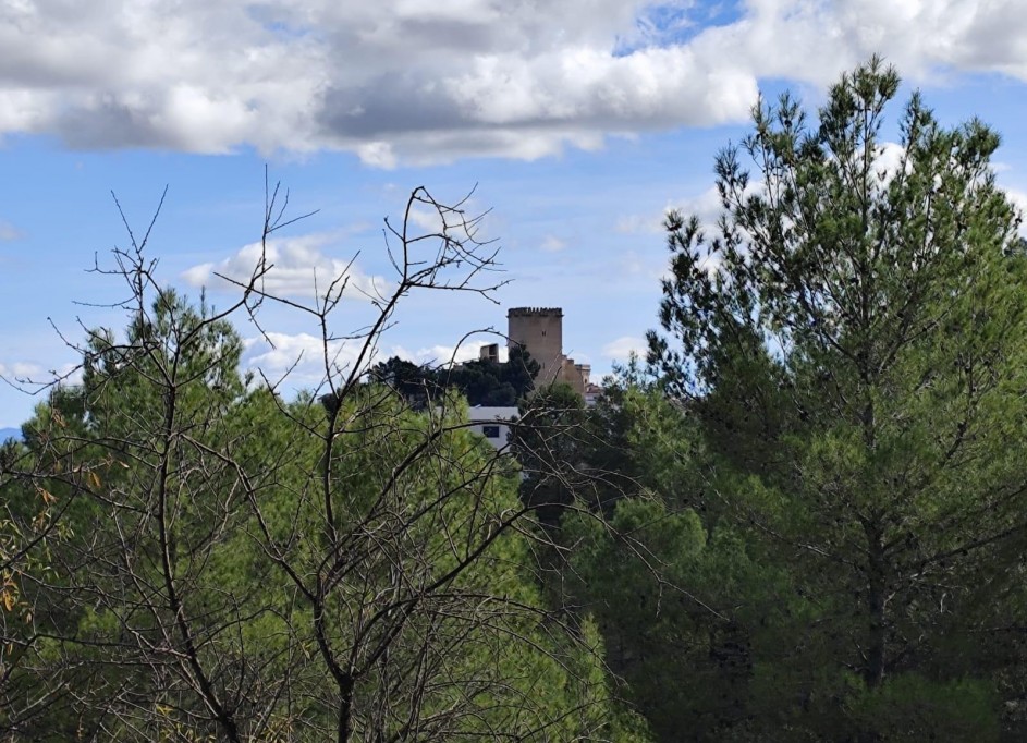 Revente - Parcelle Terrain -
Moratalla