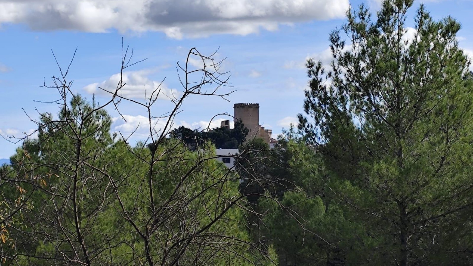 Revente - Parcelle Terrain -
Moratalla