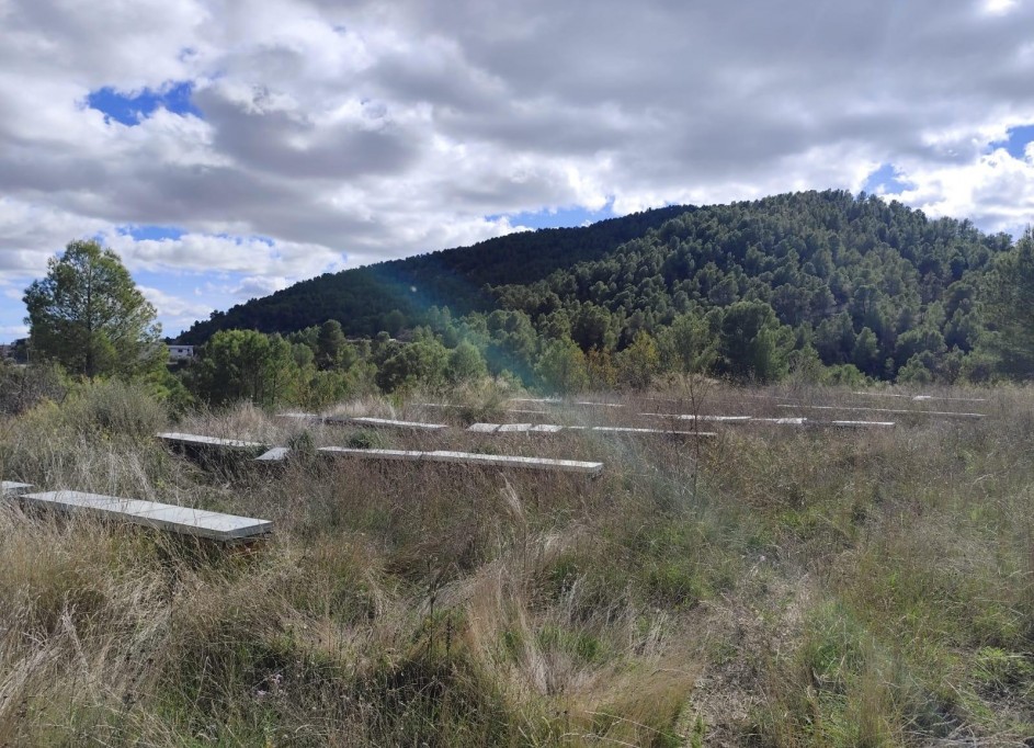 Revente - Parcelle Terrain -
Moratalla