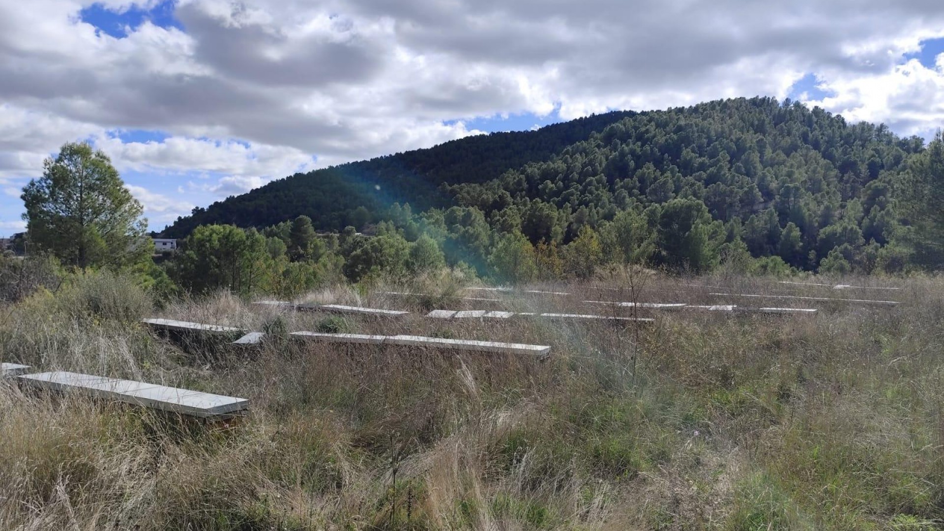 Revente - Parcelle Terrain -
Moratalla