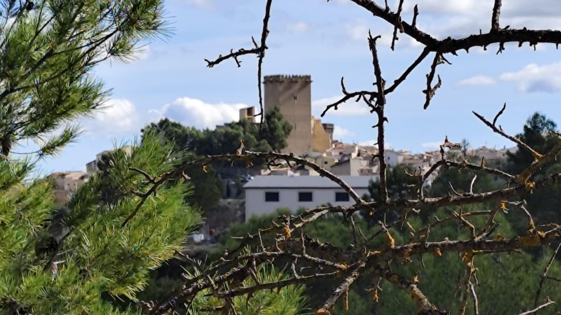 Revente - Parcelle Terrain -
Moratalla