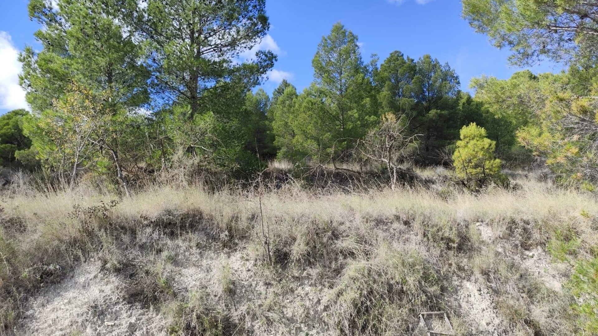 Revente - Parcelle Terrain -
Moratalla