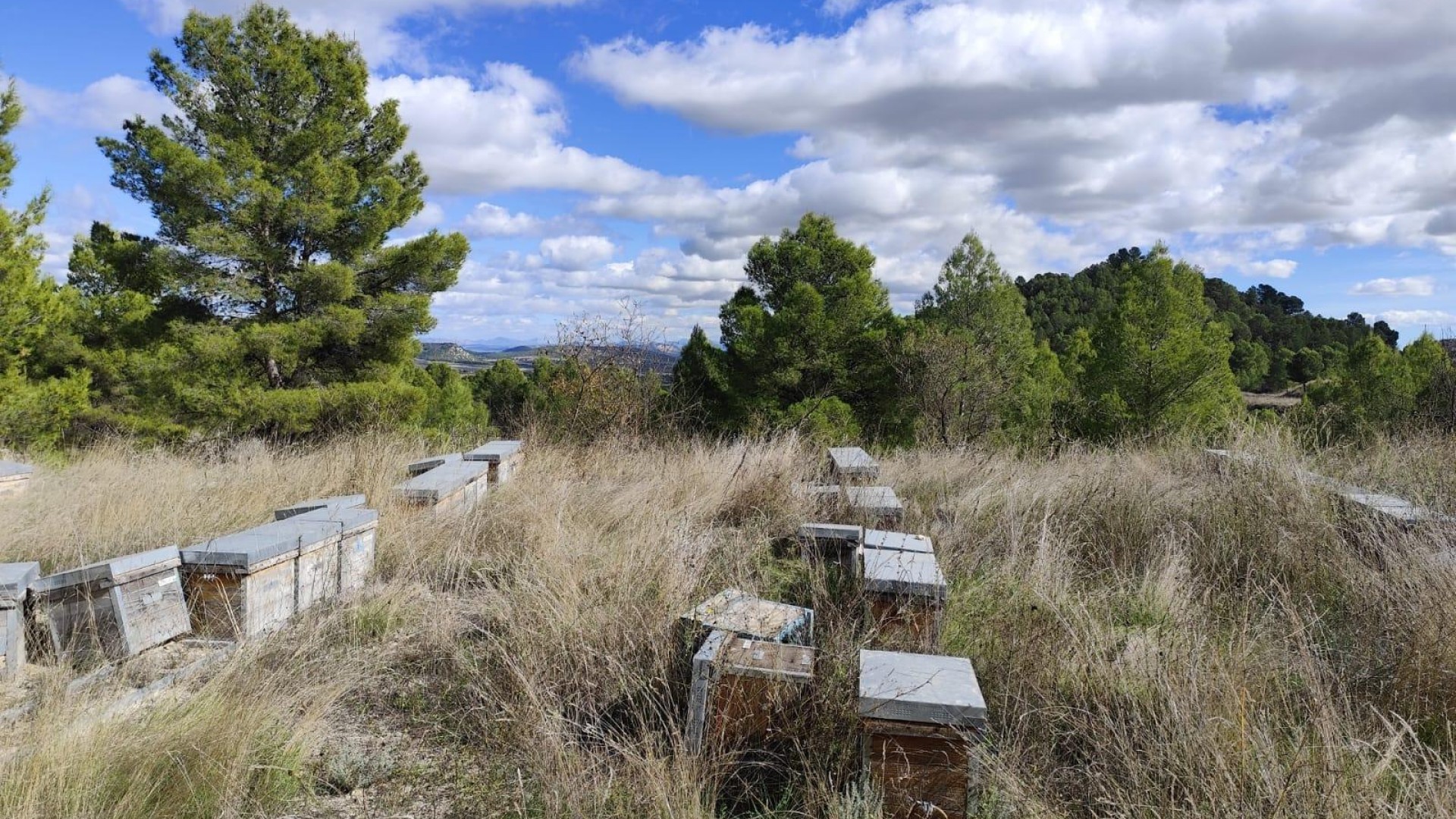 Revente - Parcelle Terrain -
Moratalla