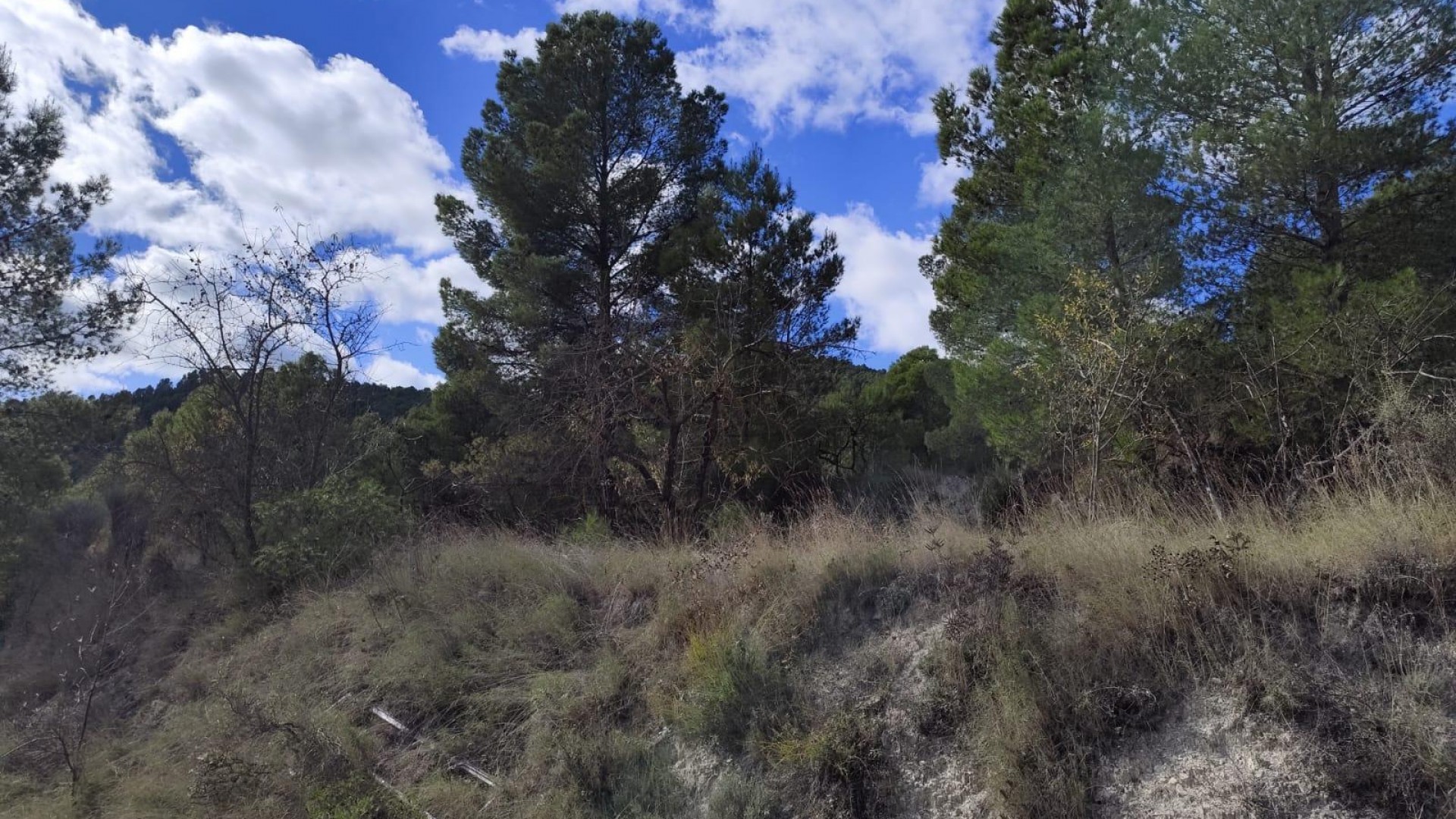 Revente - Parcelle Terrain -
Moratalla