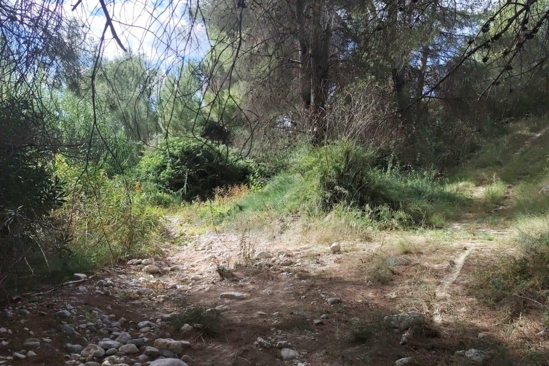 Revente - Parcelle Terrain -
Moratalla