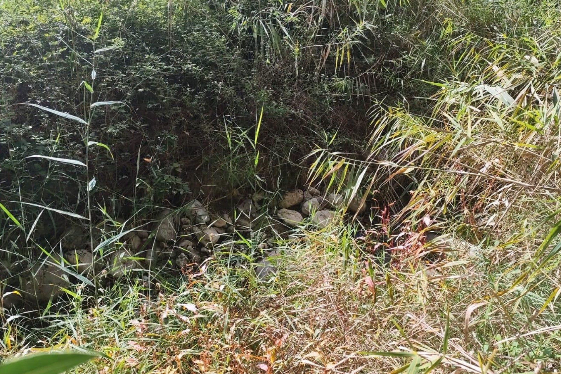 Revente - Parcelle Terrain -
Moratalla