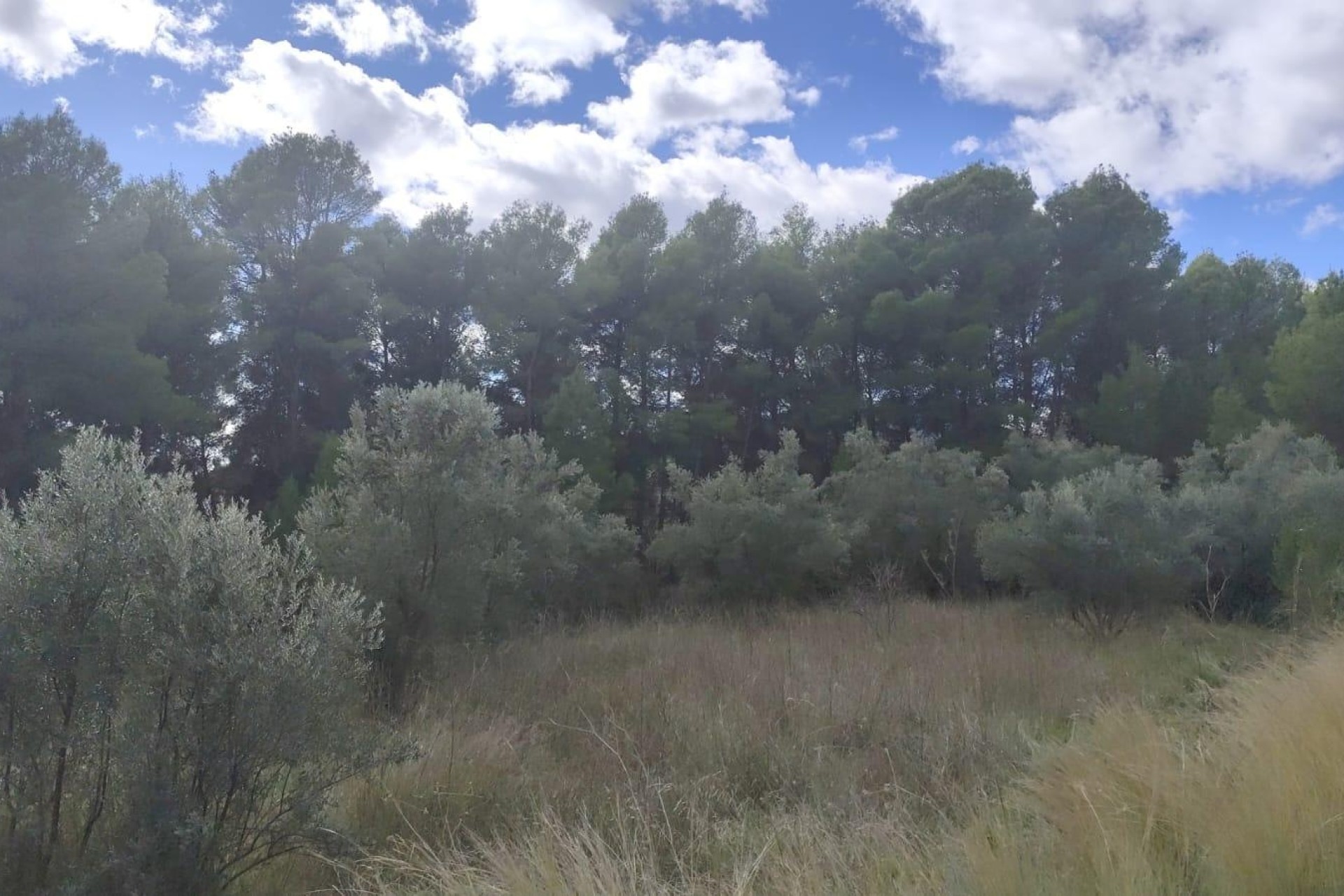 Revente - Parcelle Terrain -
Moratalla