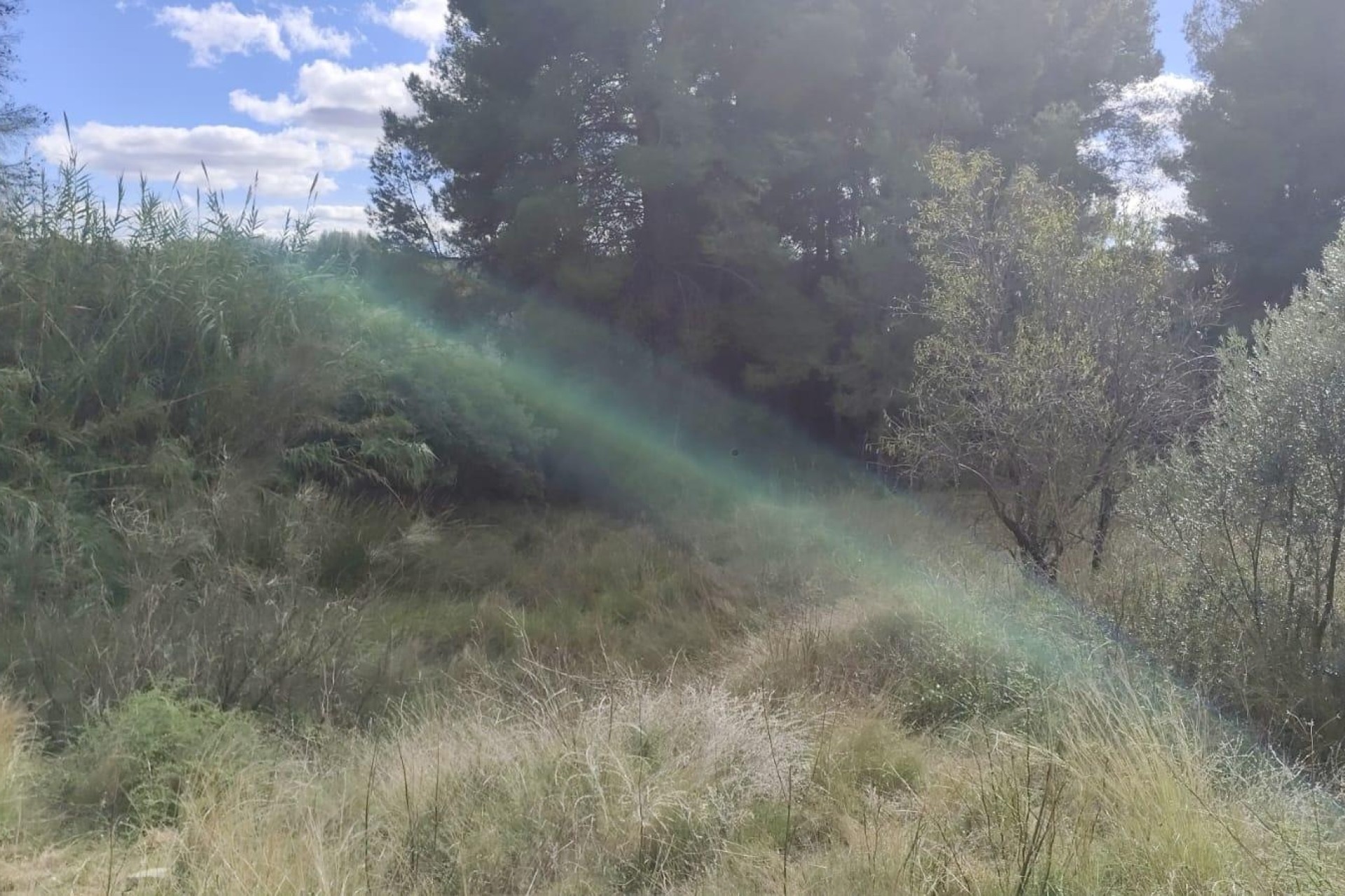 Revente - Parcelle Terrain -
Moratalla