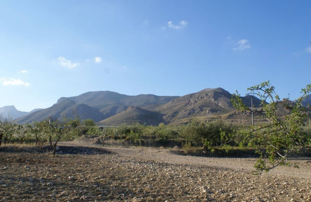 Revente - Parcelle Terrain -
Murcia