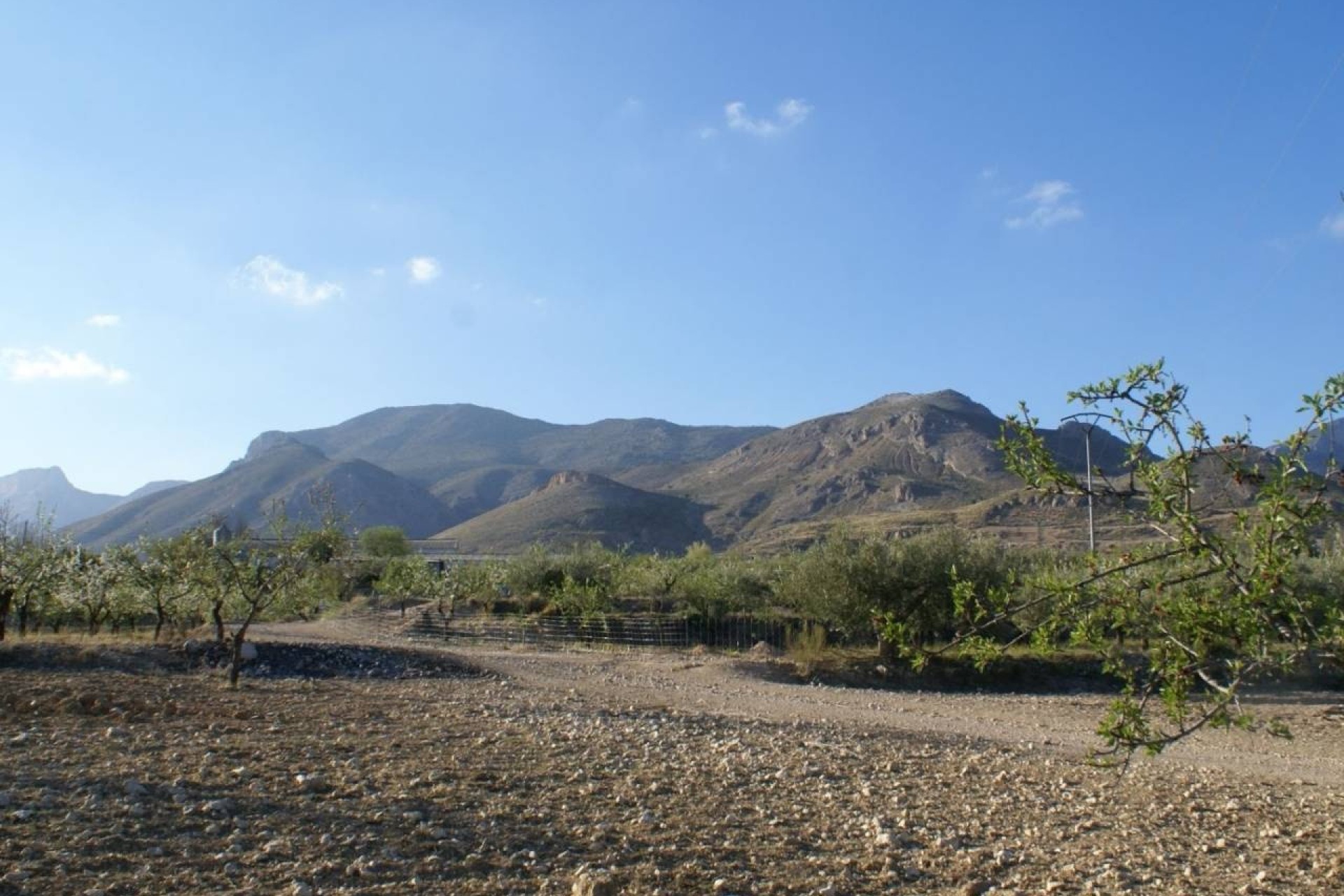 Revente - Parcelle Terrain -
Murcia