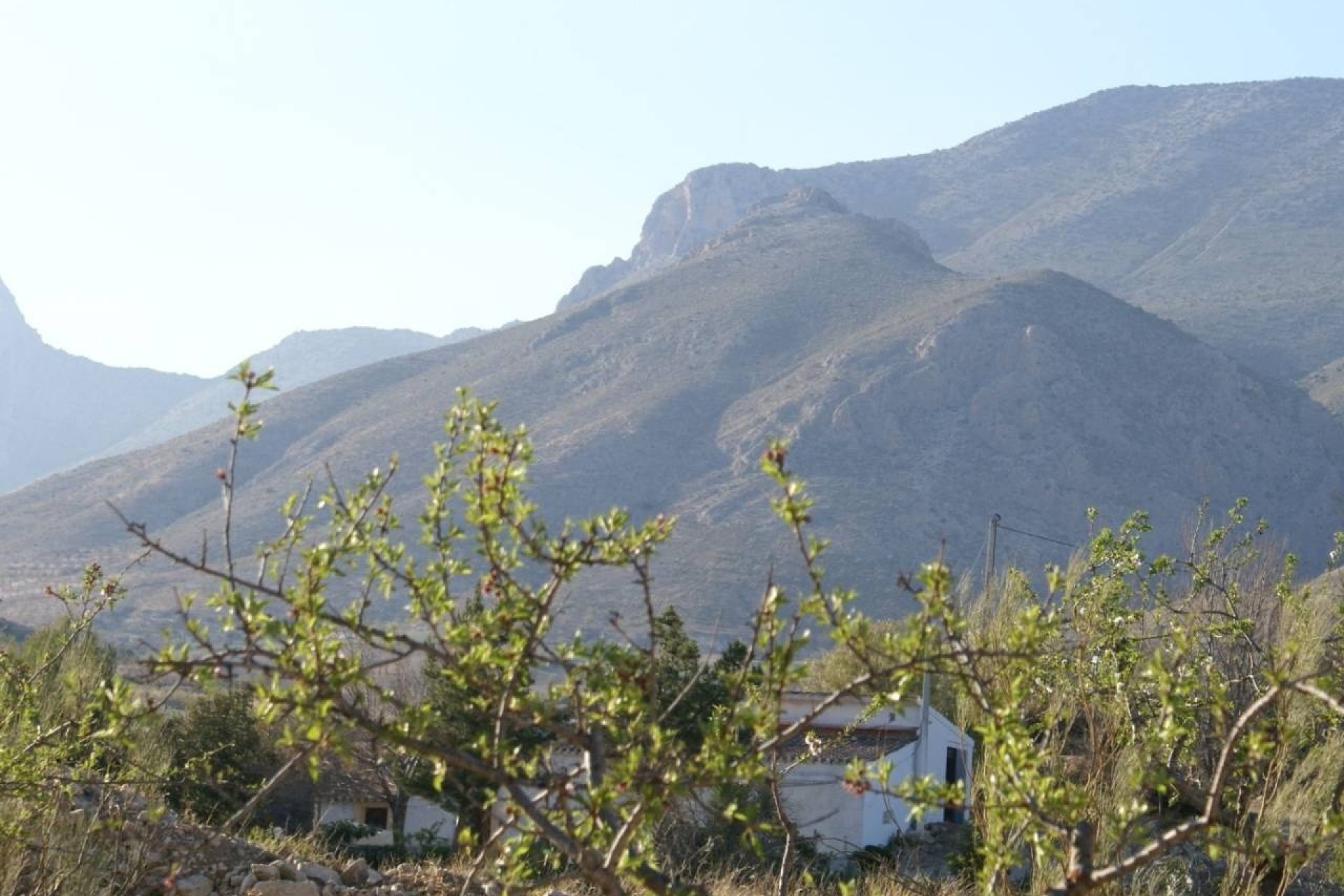 Revente - Parcelle Terrain -
Murcia