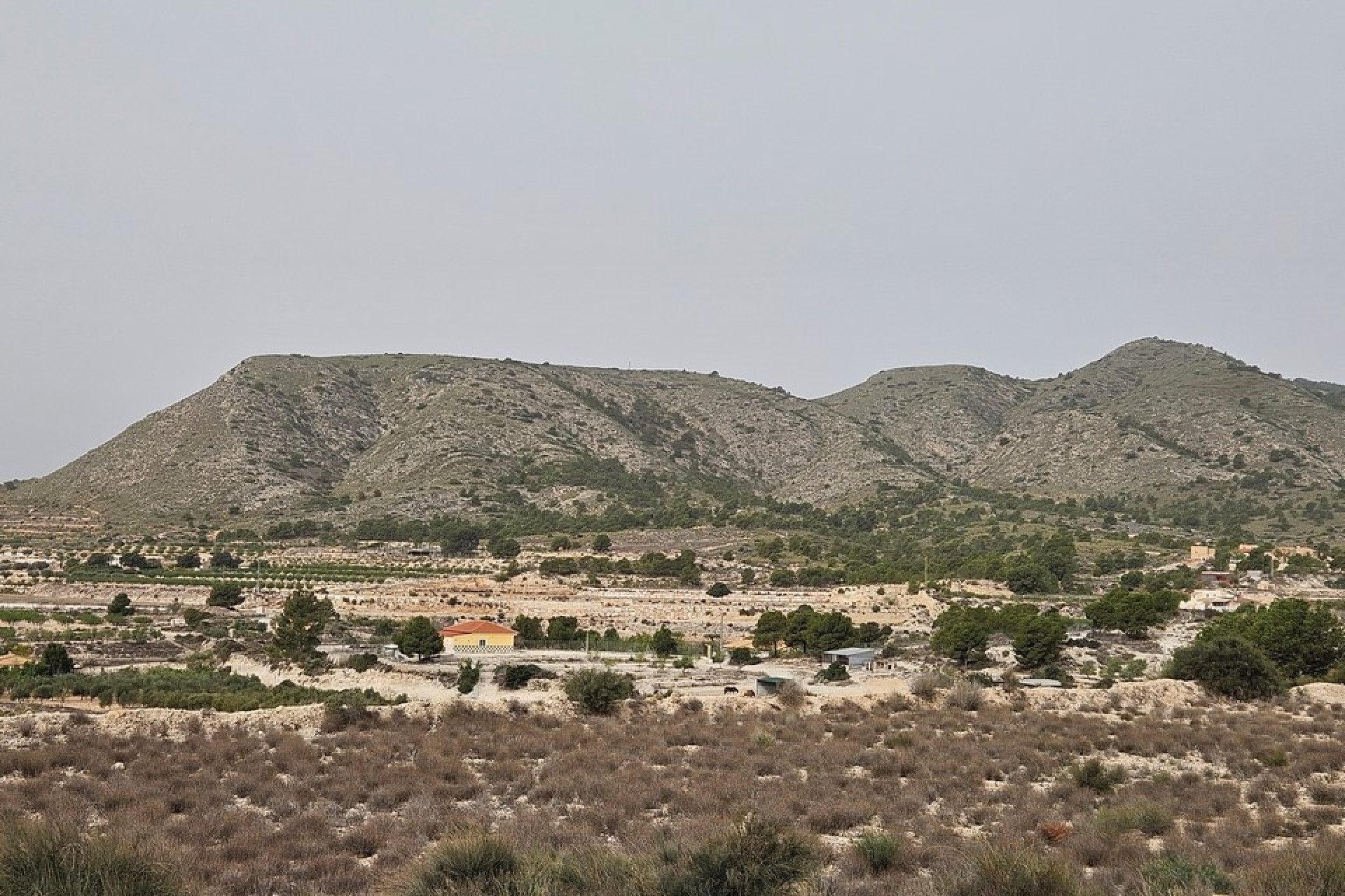 Revente - Parcelle Terrain -
Novelda