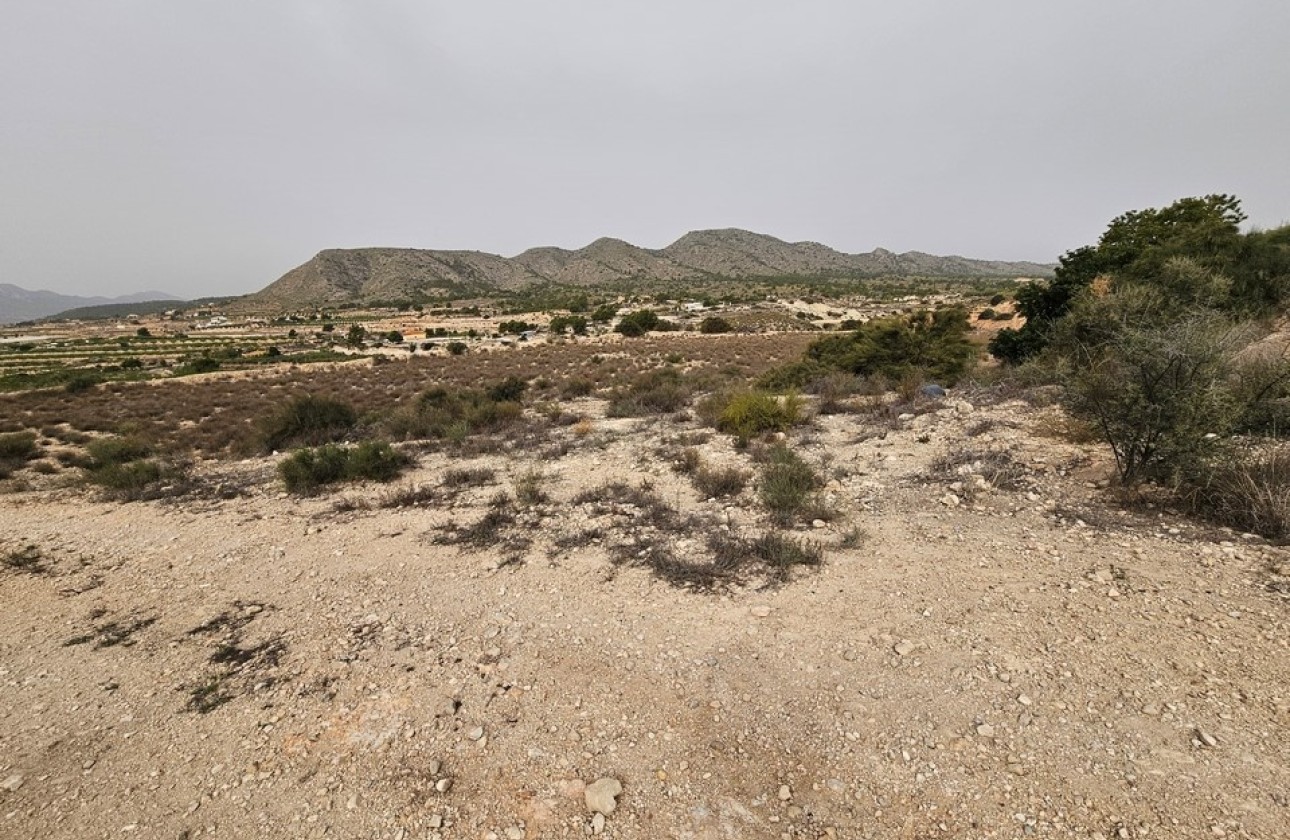 Revente - Parcelle Terrain -
Novelda