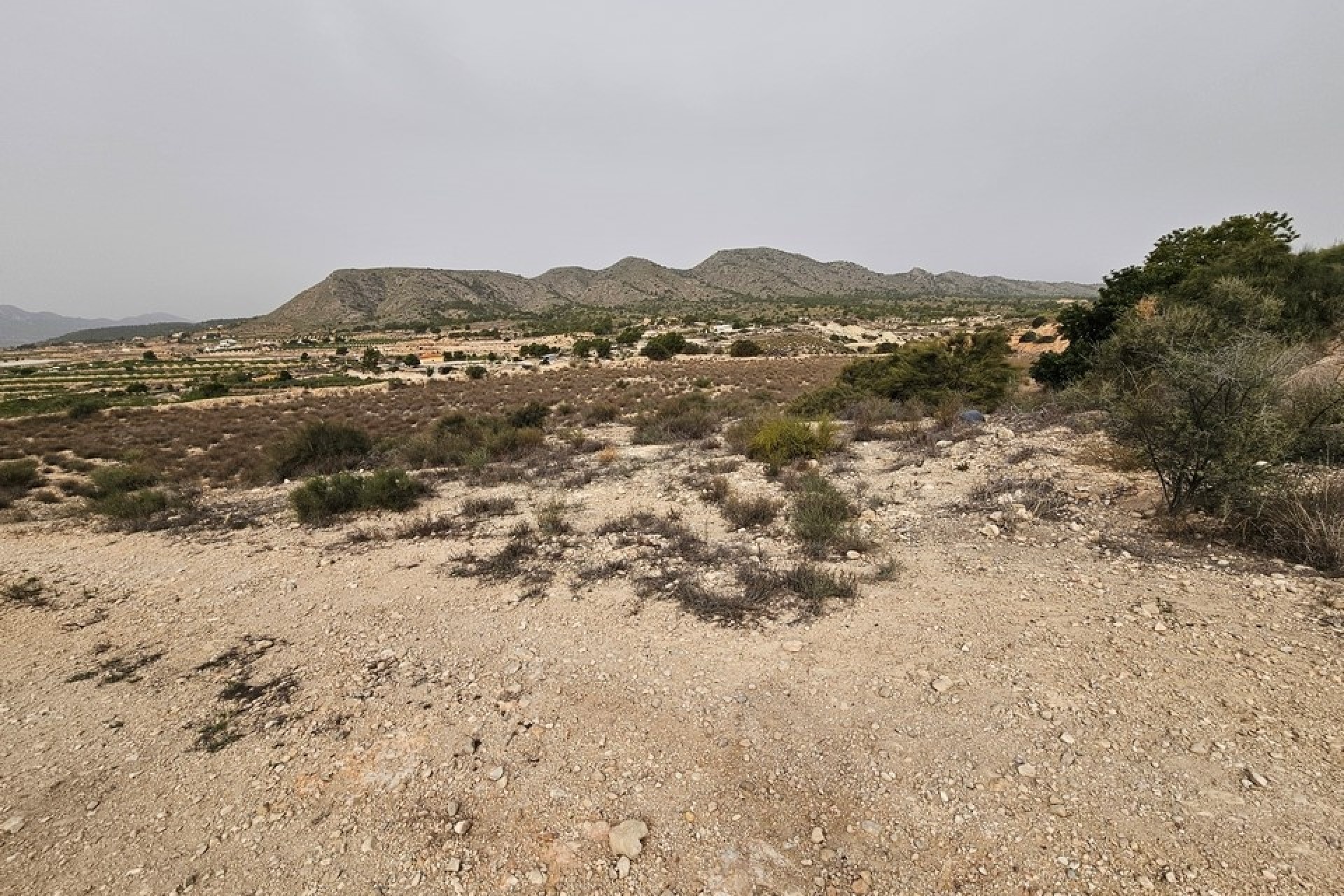 Revente - Parcelle Terrain -
Novelda