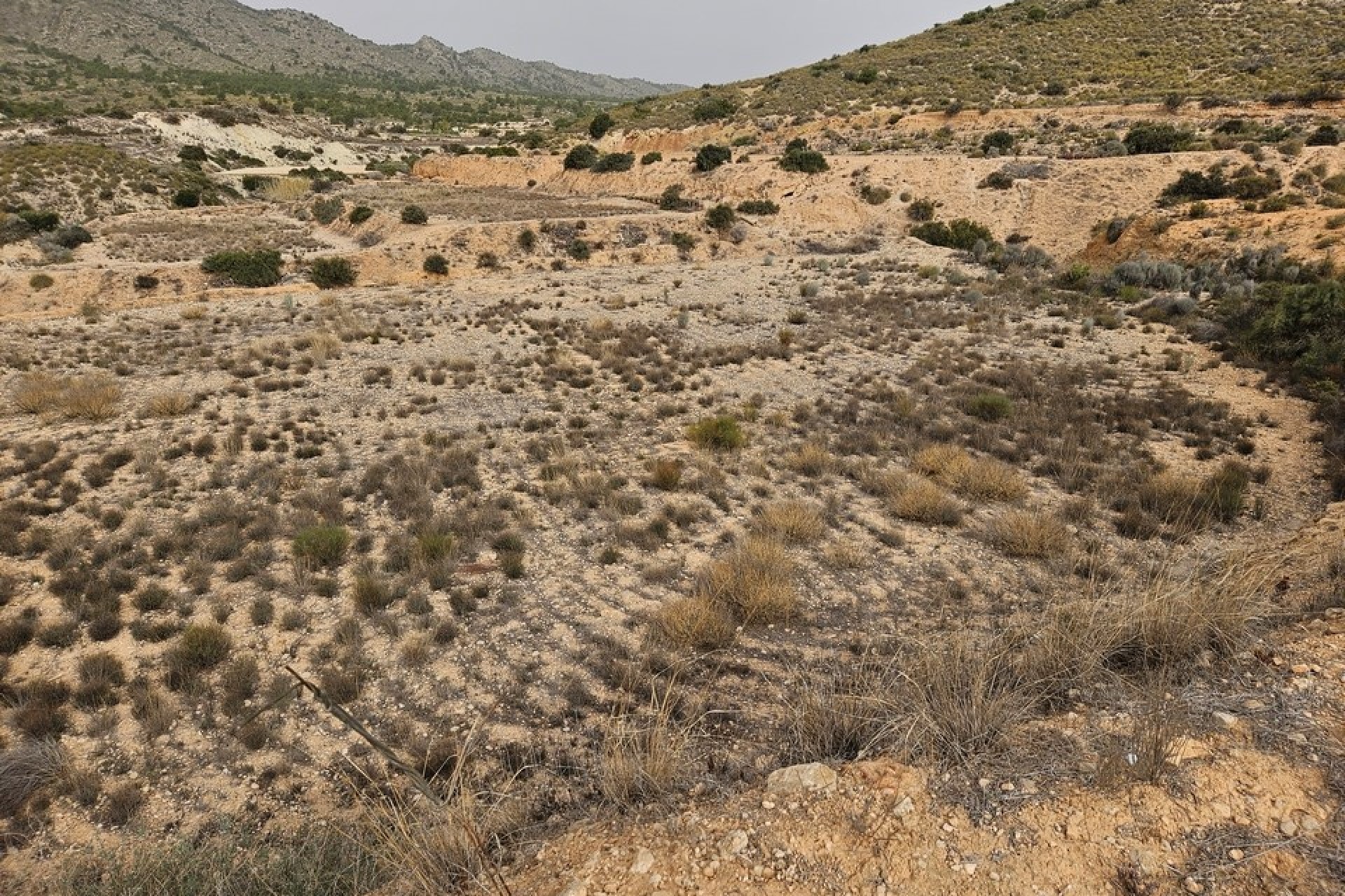 Revente - Parcelle Terrain -
Novelda