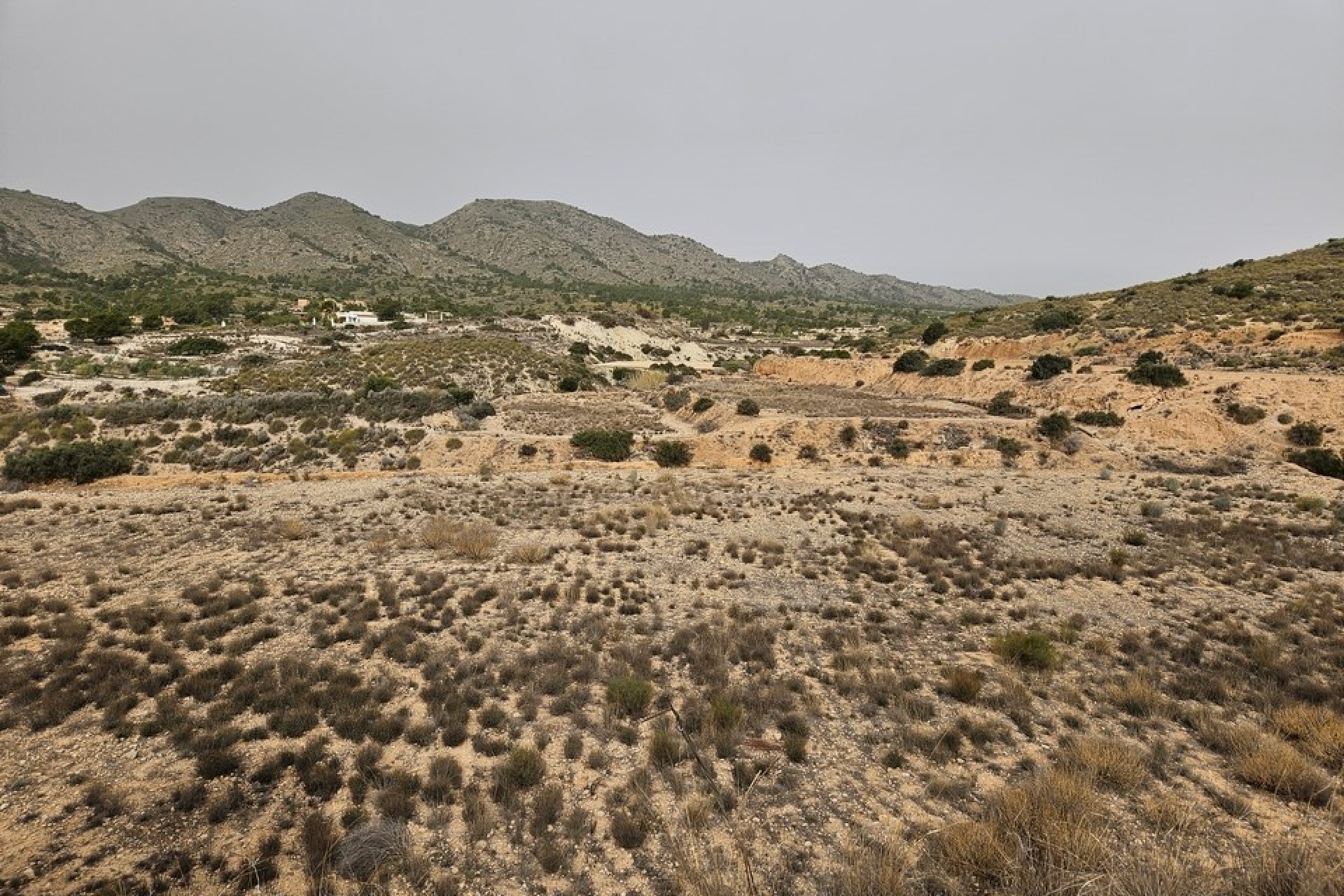 Revente - Parcelle Terrain -
Novelda