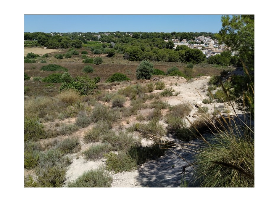 Revente - Parcelle Terrain -
Pinar de Campoverde