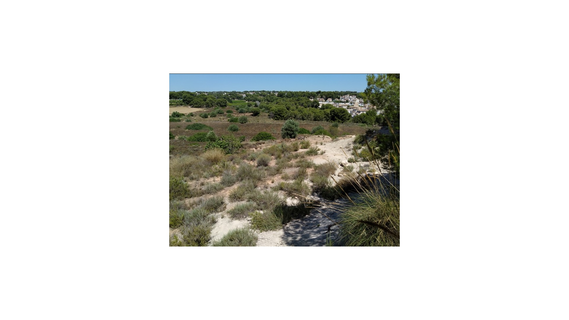 Revente - Parcelle Terrain -
Pinar de Campoverde