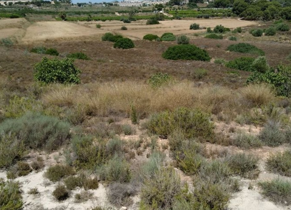 Revente - Parcelle Terrain -
Pinar de Campoverde