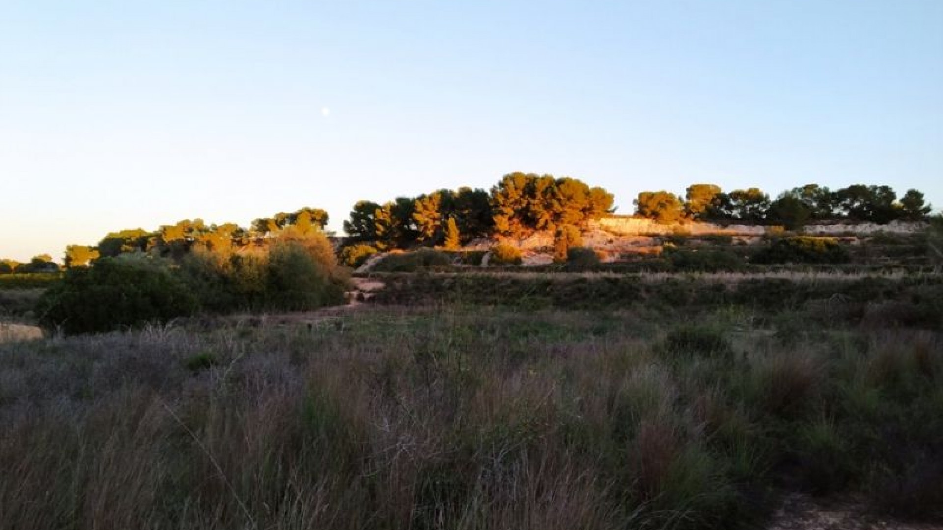 Revente - Parcelle Terrain -
Pinar de Campoverde