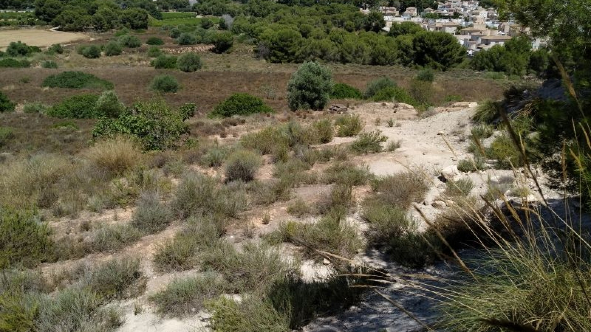 Revente - Parcelle Terrain -
Pinar de Campoverde