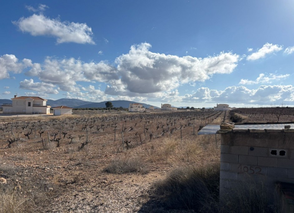 Revente - Parcelle Terrain -
Pinoso - el Pinós / Pinoso