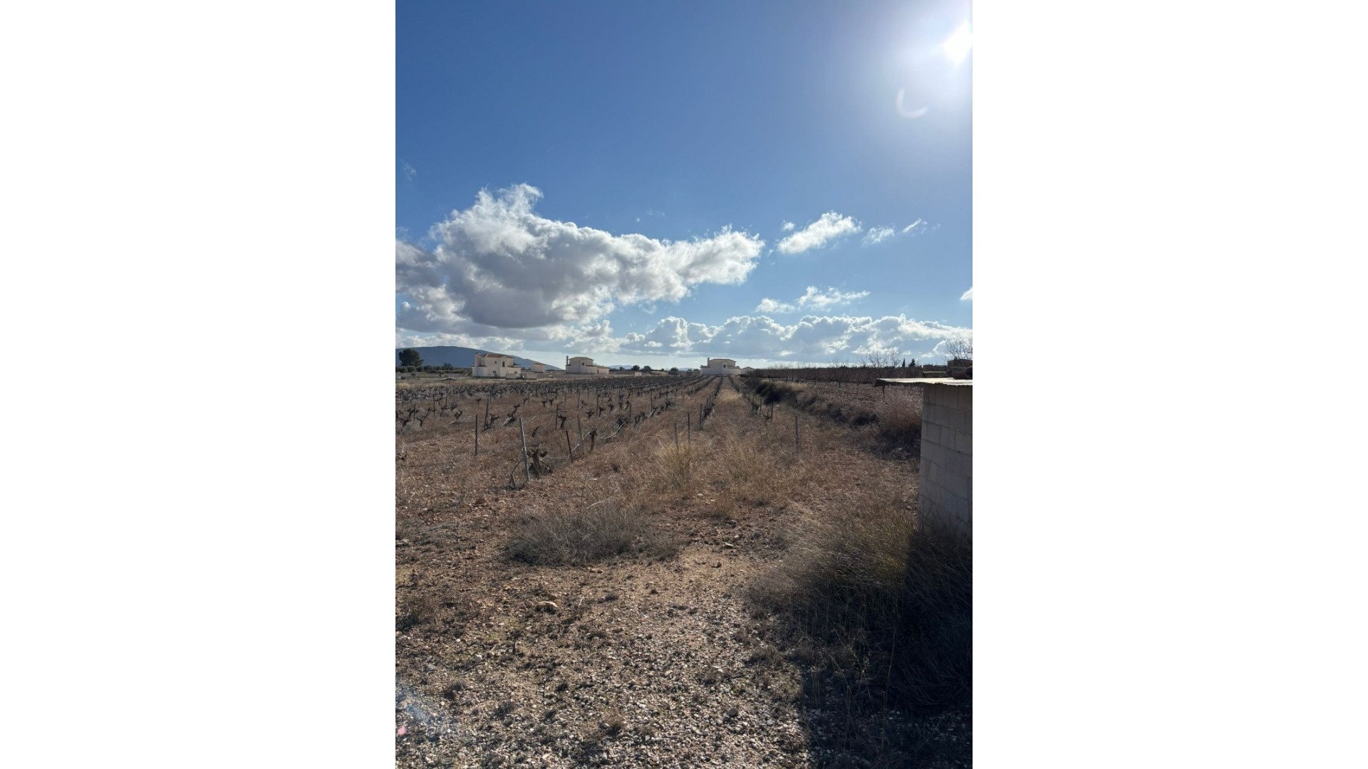 Revente - Parcelle Terrain -
Pinoso - el Pinós / Pinoso