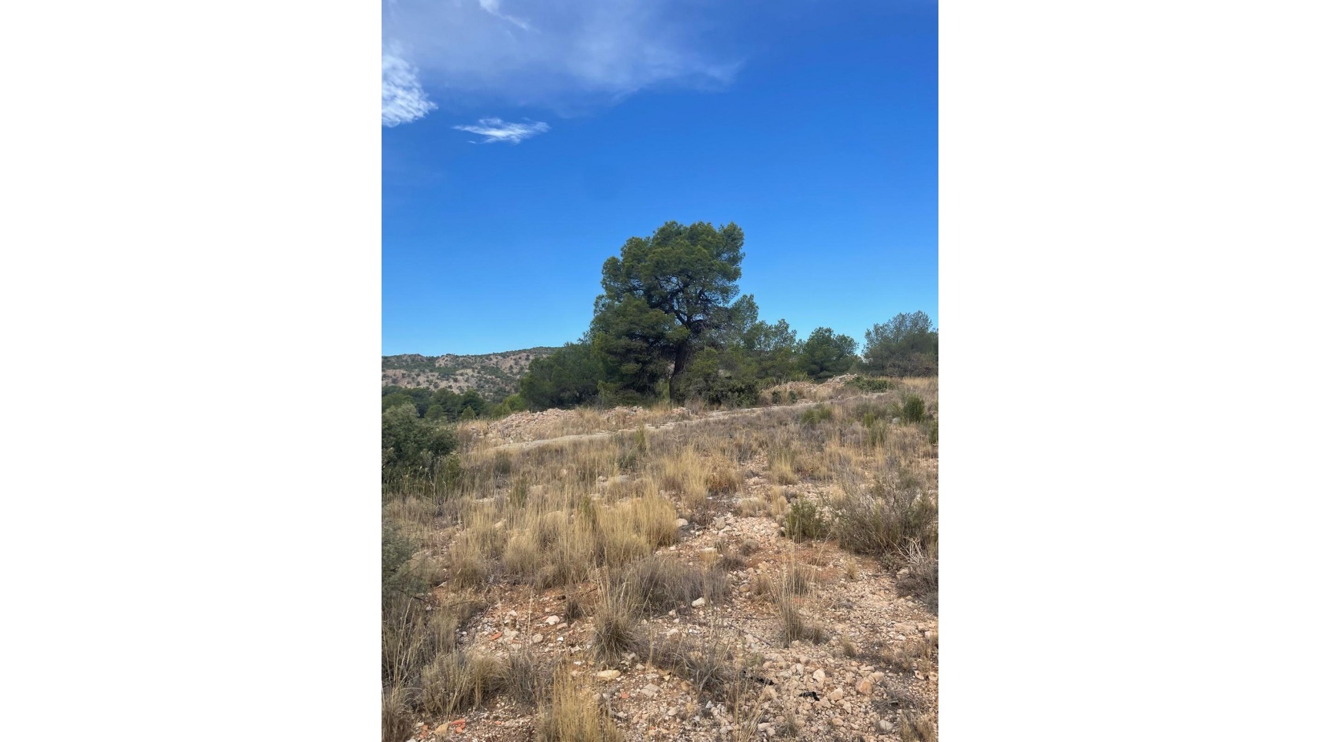 Revente - Parcelle Terrain -
Pinoso - Pinoso Alicante