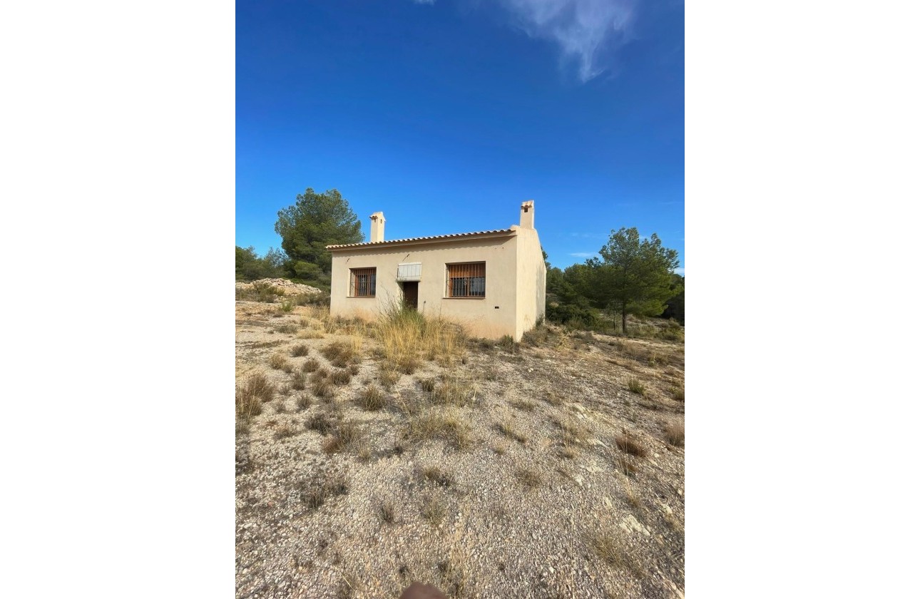 Revente - Parcelle / Terrain -
Pinoso