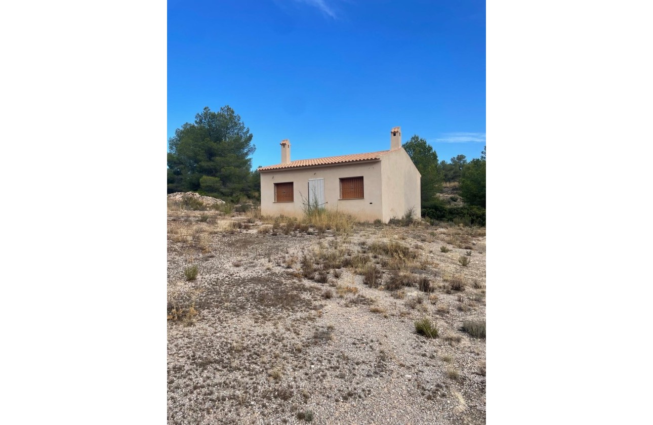Revente - Parcelle / Terrain -
Pinoso