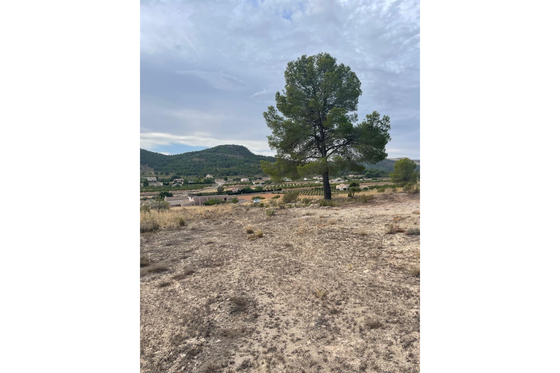 Revente - Parcelle / Terrain -
Pinoso