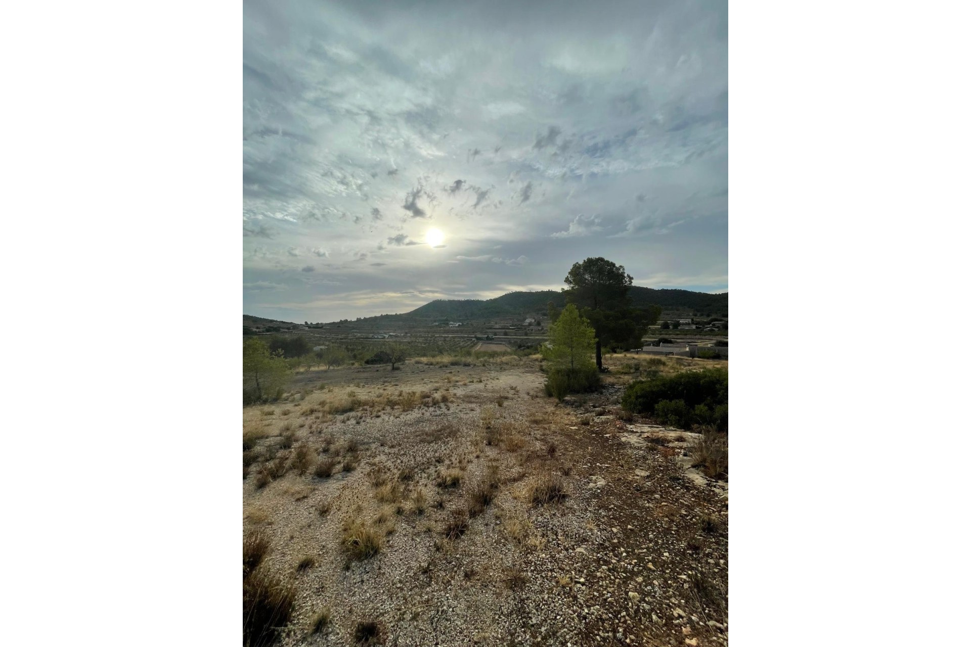 Revente - Parcelle / Terrain -
Pinoso