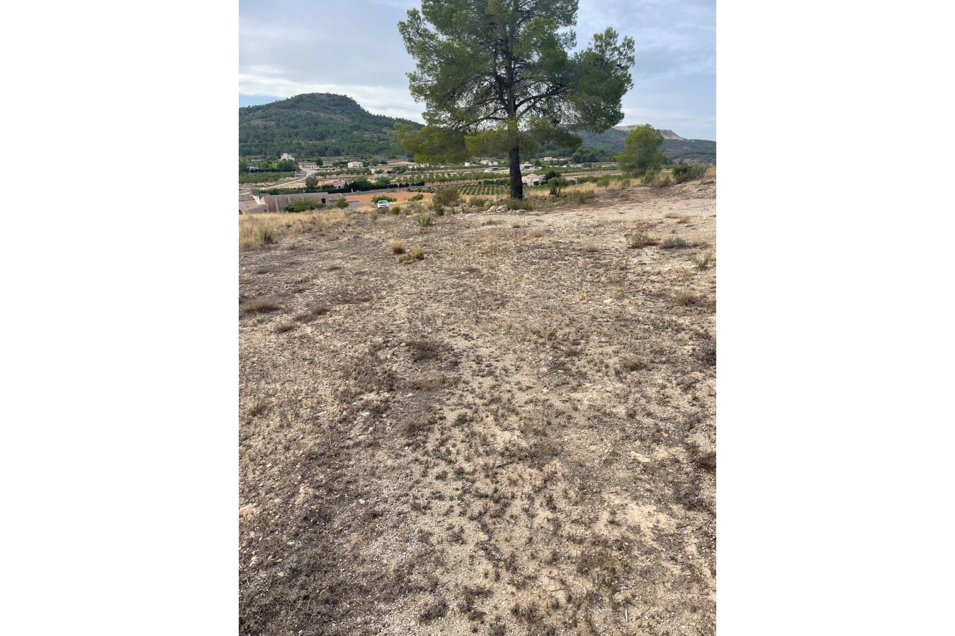 Revente - Parcelle / Terrain -
Pinoso