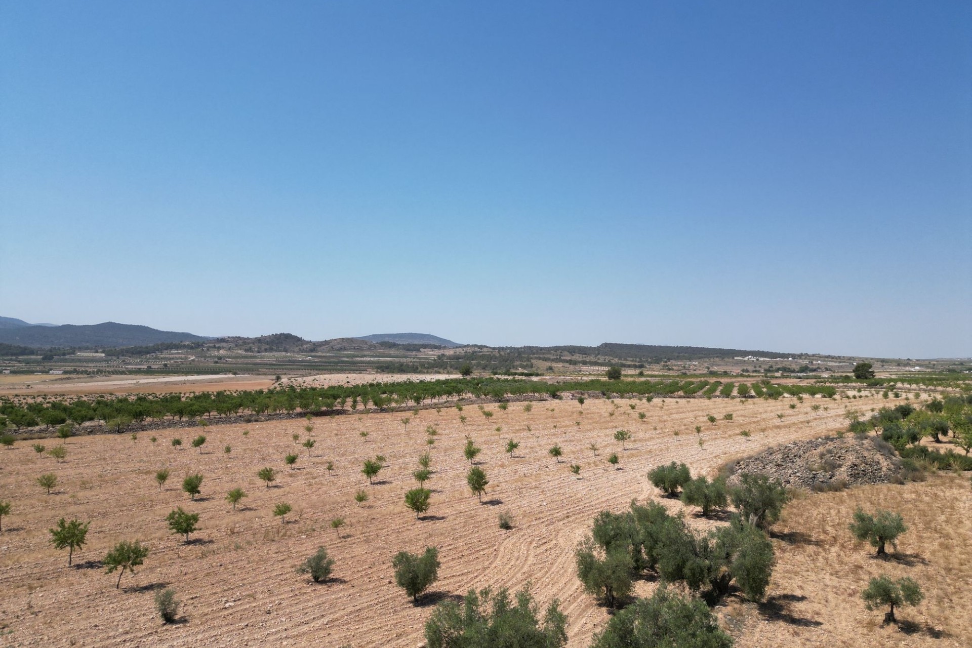 Revente - Parcelle / Terrain -
Pinoso