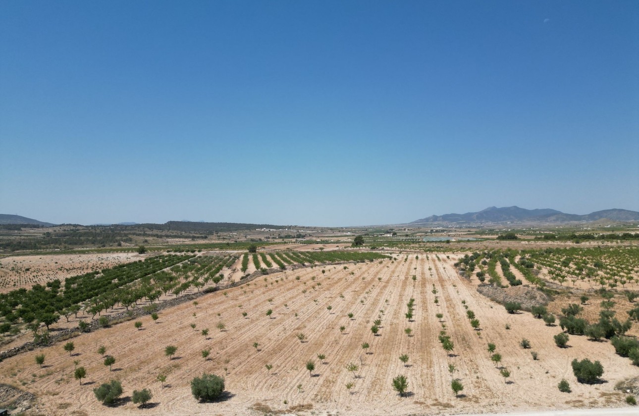 Revente - Parcelle / Terrain -
Pinoso