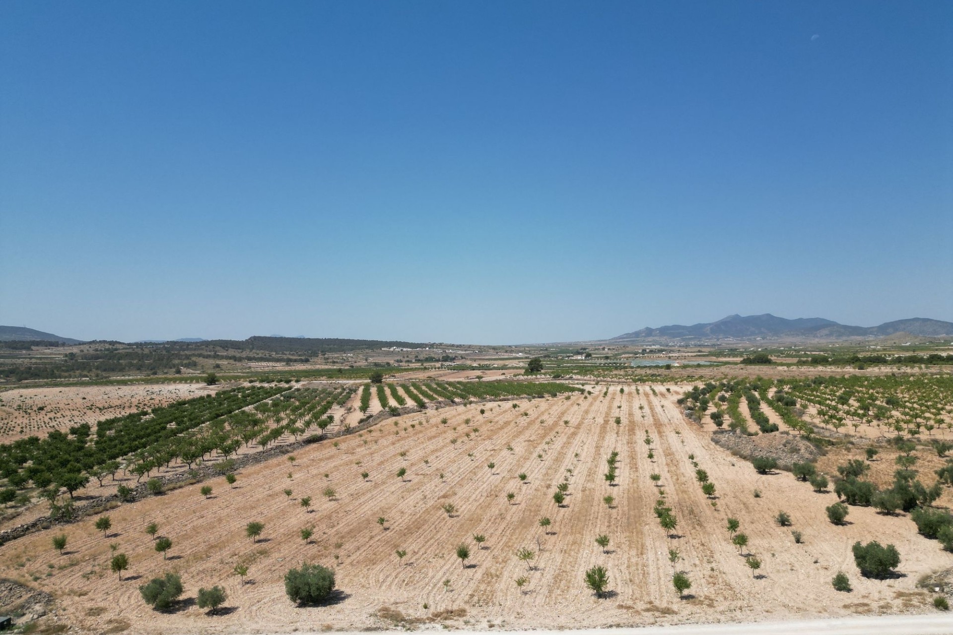 Revente - Parcelle / Terrain -
Pinoso